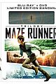 maze runner exclusive clip 03