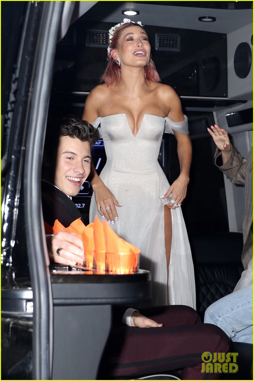 Shawn Mendes & Hailey Baldwin Confirm Relationship on Met Gala 2018 Red Carpet Photo 1158139
