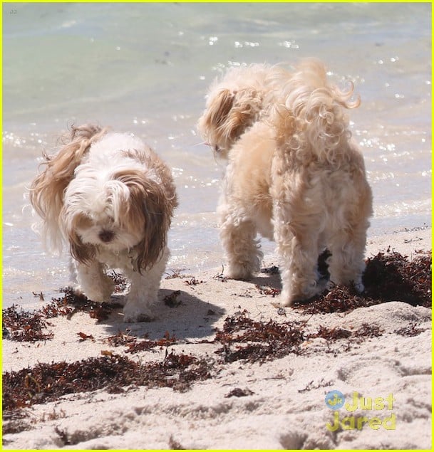 Sharna Burgess Rocks Two Cute Bikinis On The Beach in Miami | Photo