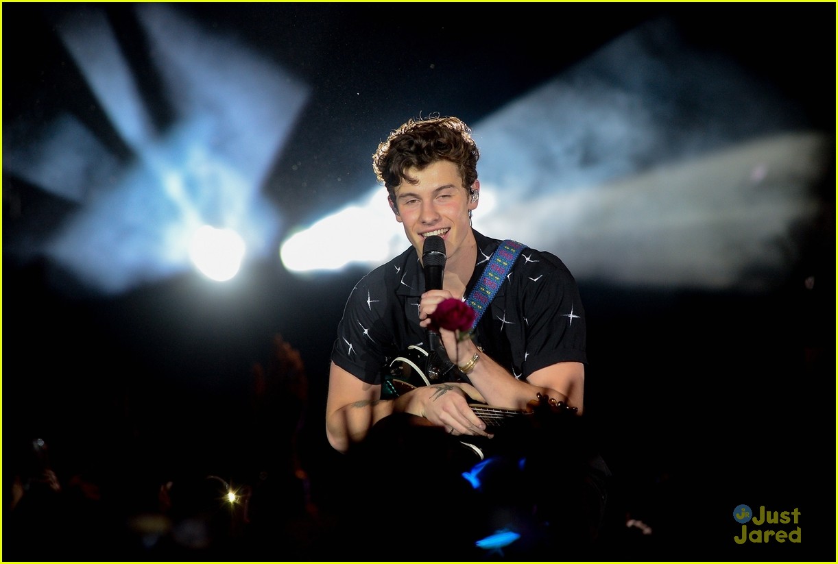 shawn mendes brazil world cup match fans 04
