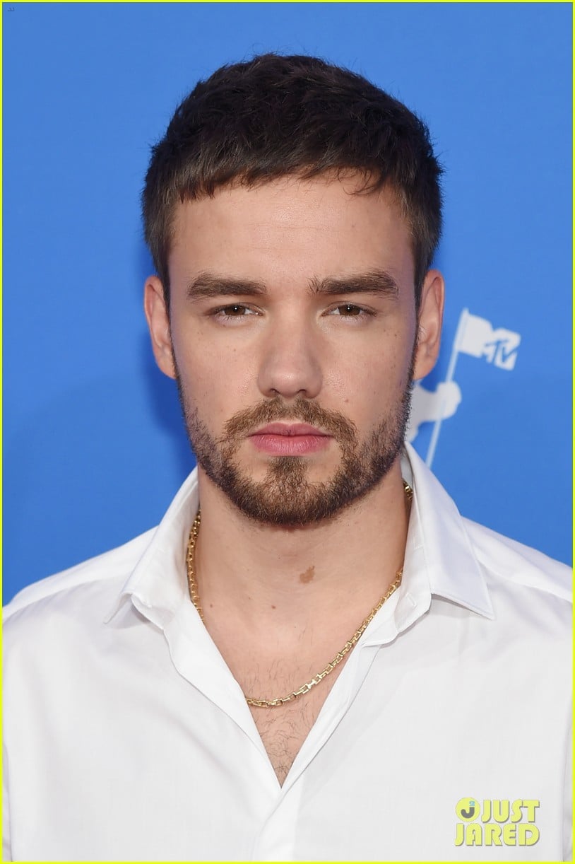 Liam Payne Brings the Heat to MTV VMAs 2018! | Photo 1179859 - Photo ...