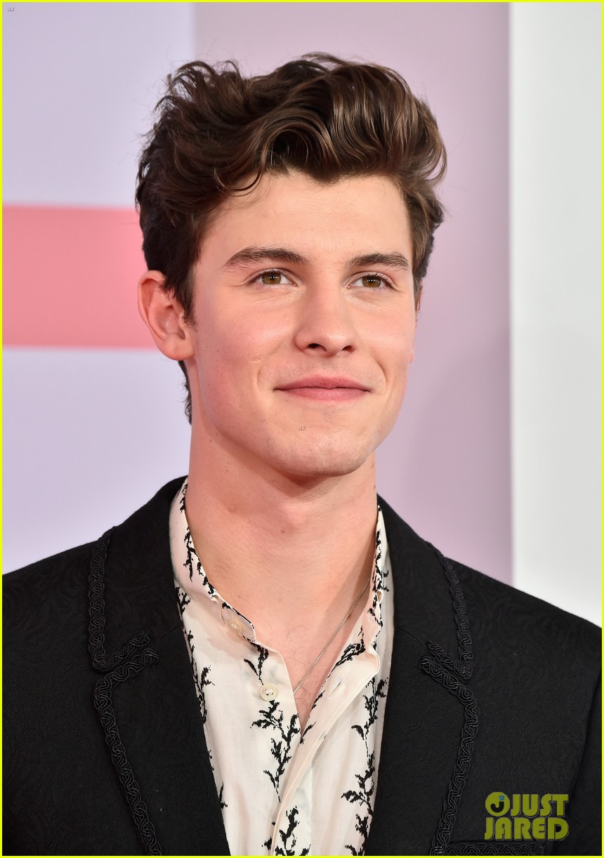 Shawn Mendes Flashes a Peace Sign at American Music Awards 2018