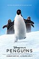 disneynature penguins poster see here 01