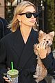 hailey bieber flashes her midriff while stepping out with puppy oscar 02