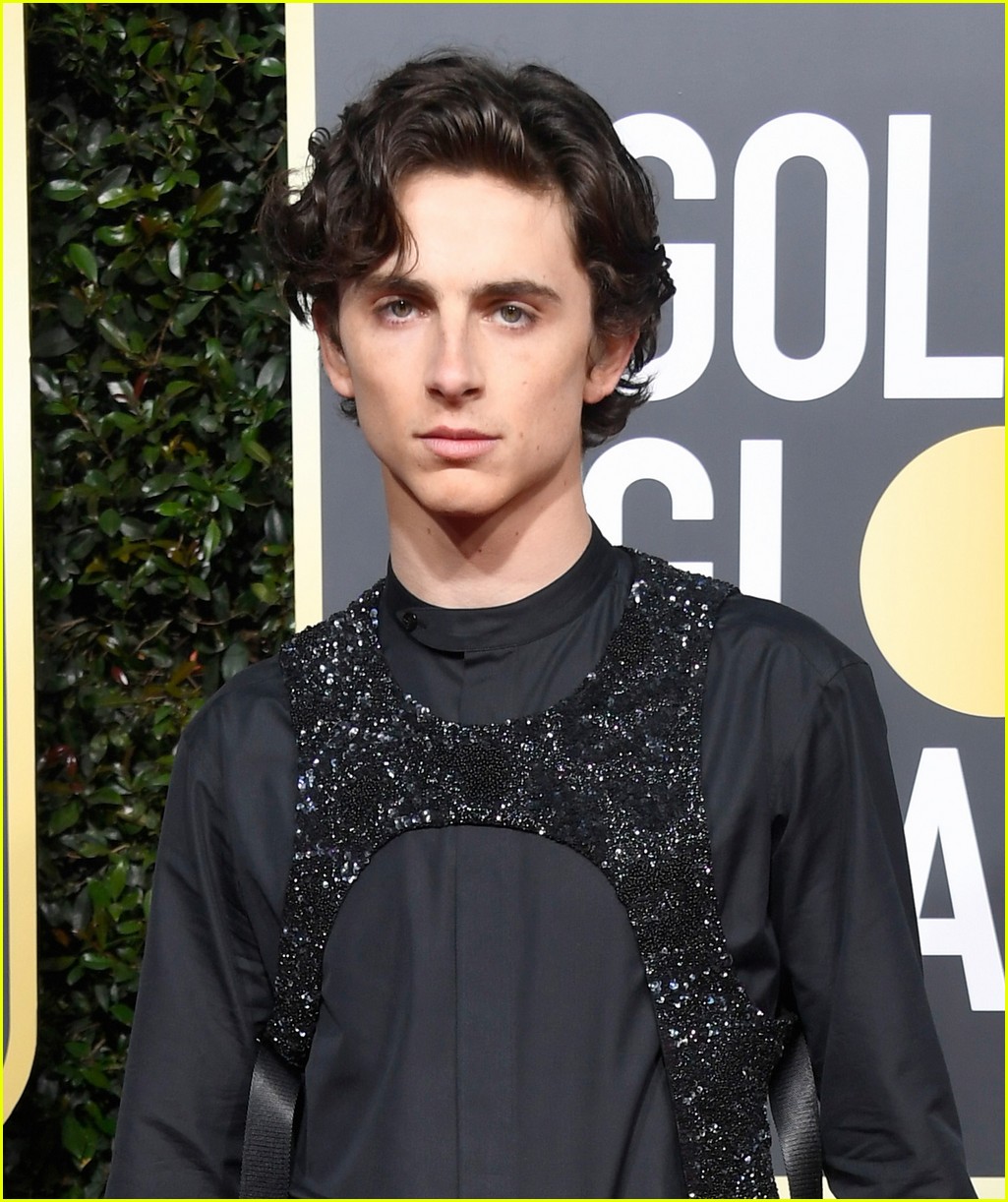 Timothee Chalamet Slays In Sparkly Harness At Golden Globes 2019