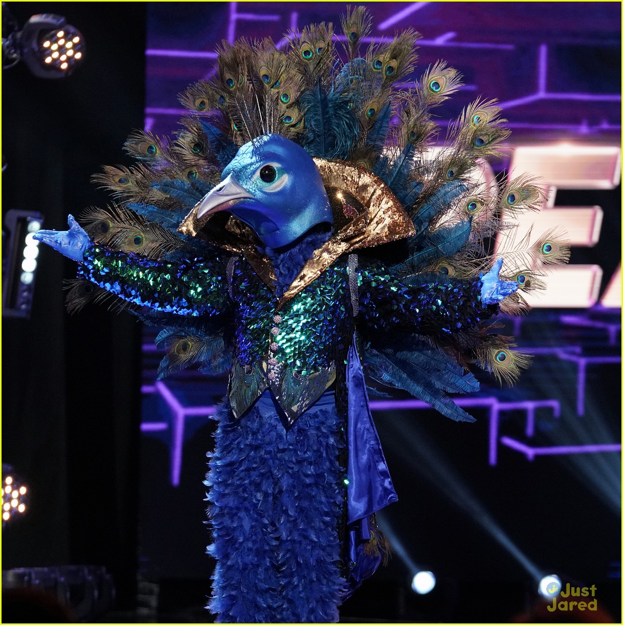 'The Masked Singer' Premieres Tonight Get All The Details About The