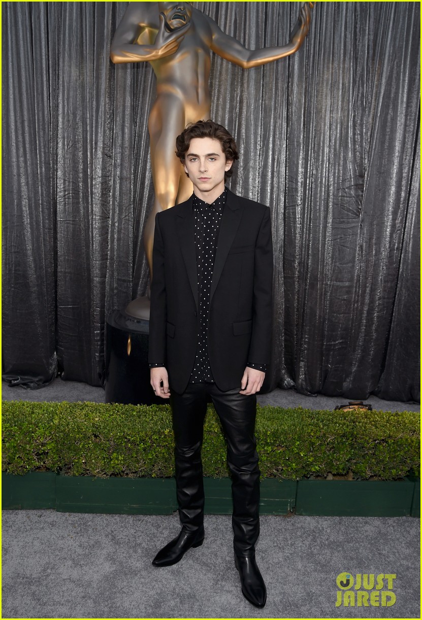 Full Sized Photo of timothee chalamet sag awards 2019 05 Timothee