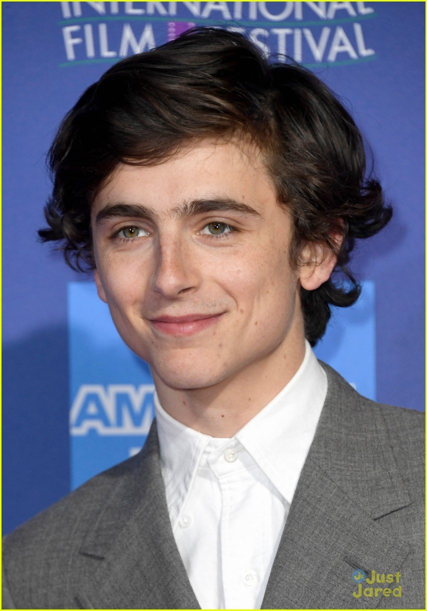 Timothee Chalamet Gets Proposed To By Fan at Palm Springs Film Festival ...