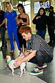 kj apa aspca volunteer with bumble winner 04