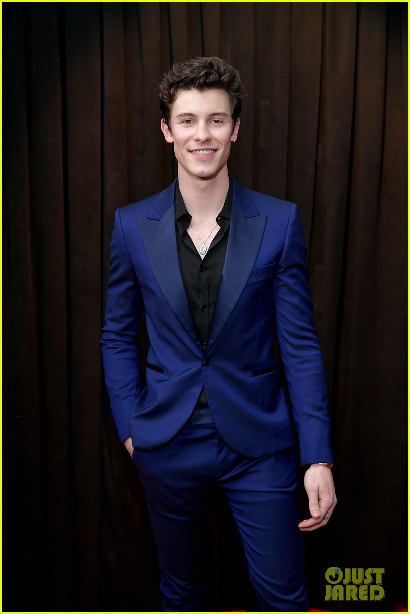 Shawn Mendes Brings Dad Manuel To Grammys 2019 Photo 1215368 Photo