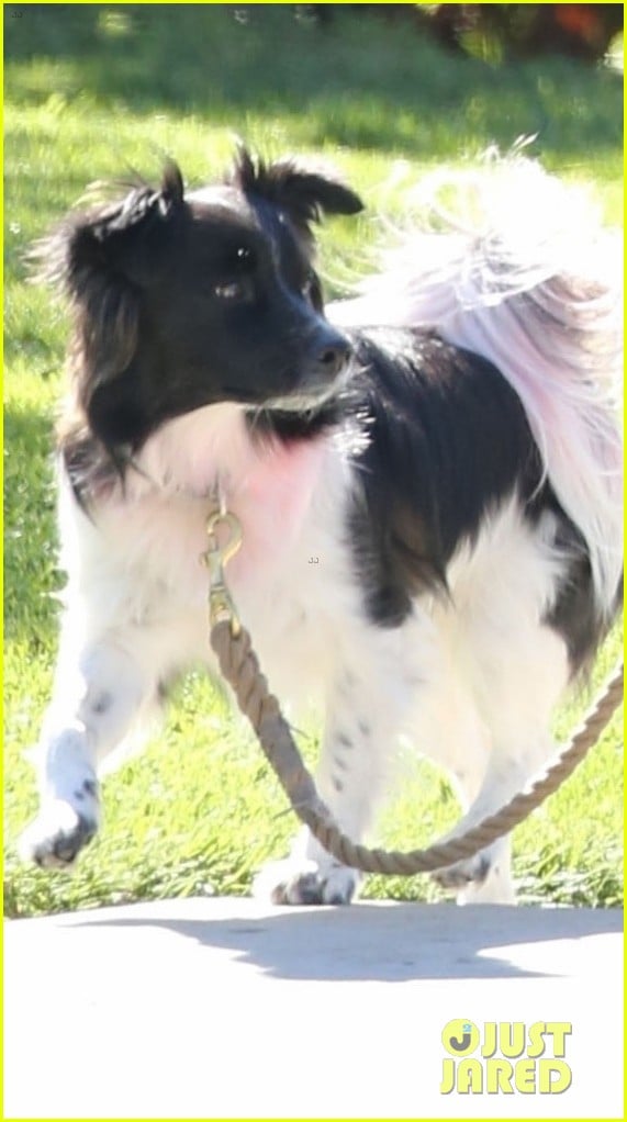Nina Dobrev & Dog Mrs. Maverick Take Walk After Celebrating The Oscars