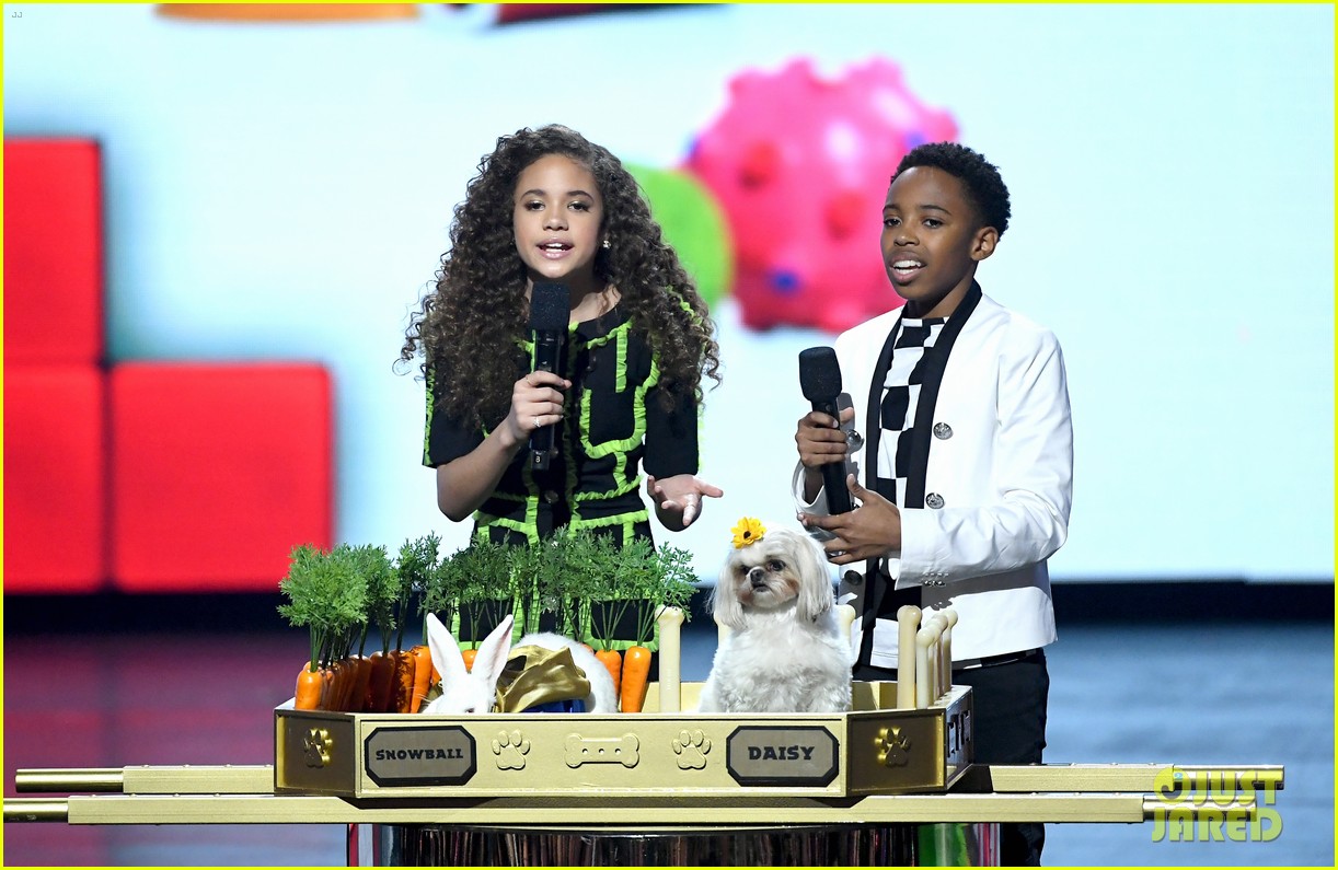 cousins for life 2019 kids choice awards 11