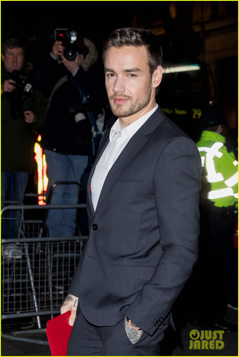 Liam Payne Suits Up for Portrait Gala in London | Photo 1221730 - Photo ...