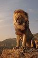 lion king trailer debuts 01