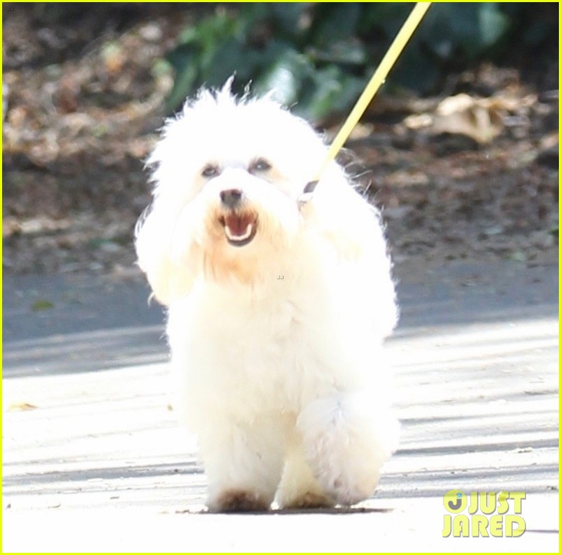 Lucy Hale Takes Her Dog, Elvis, for a Walk in LA! | Photo 1238803