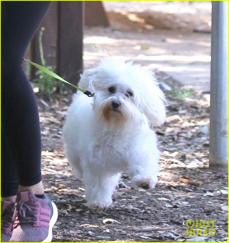 Lucy Hale Takes Her Dog, Elvis, for a Walk in LA! | Photo 1238805