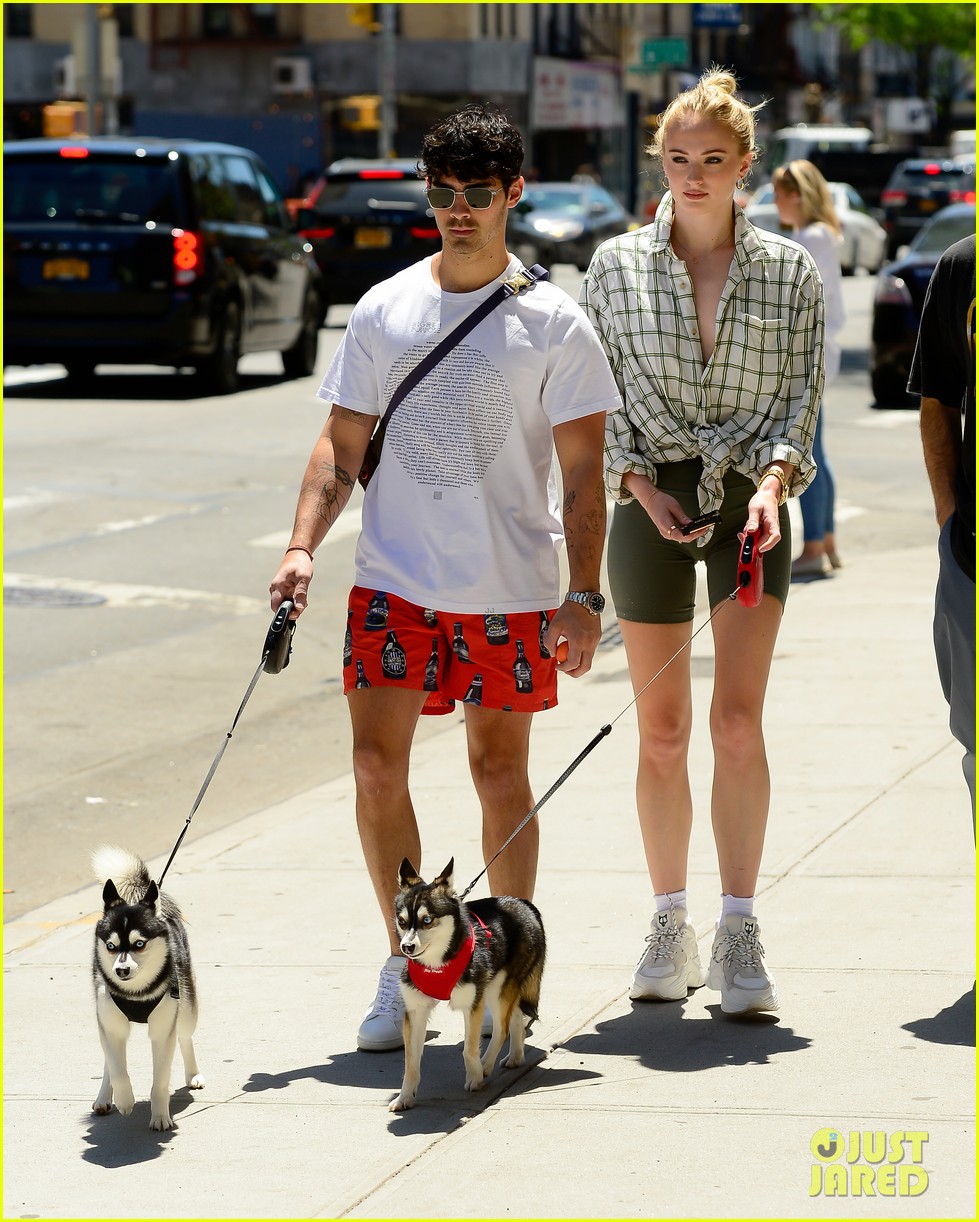 Joe Jonas, Sophie Turner, & Their Dogs Enjoy the Sunny NYC Weather