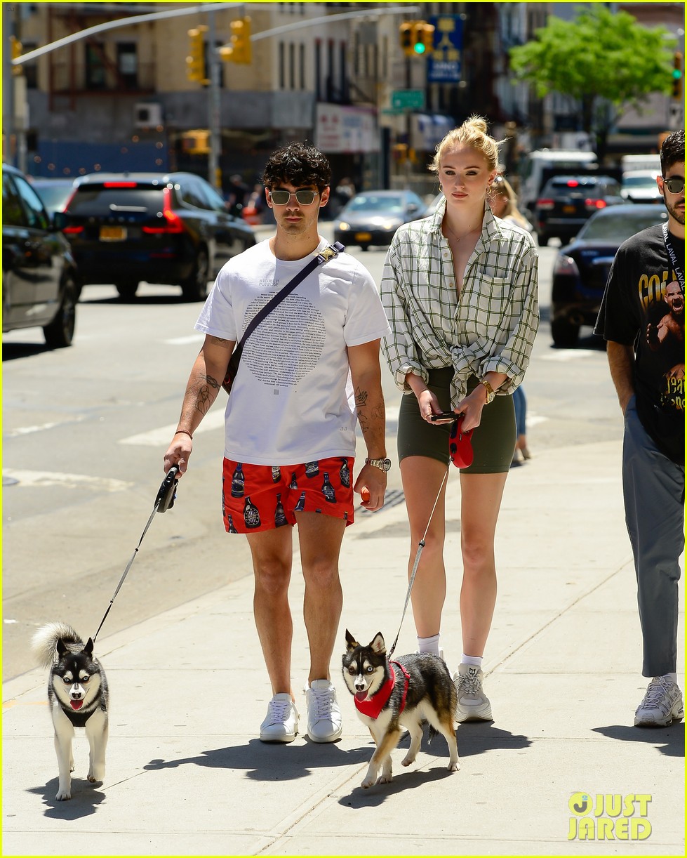 Full Sized Photo of joe jonas sophie turner take their dogs for a walk