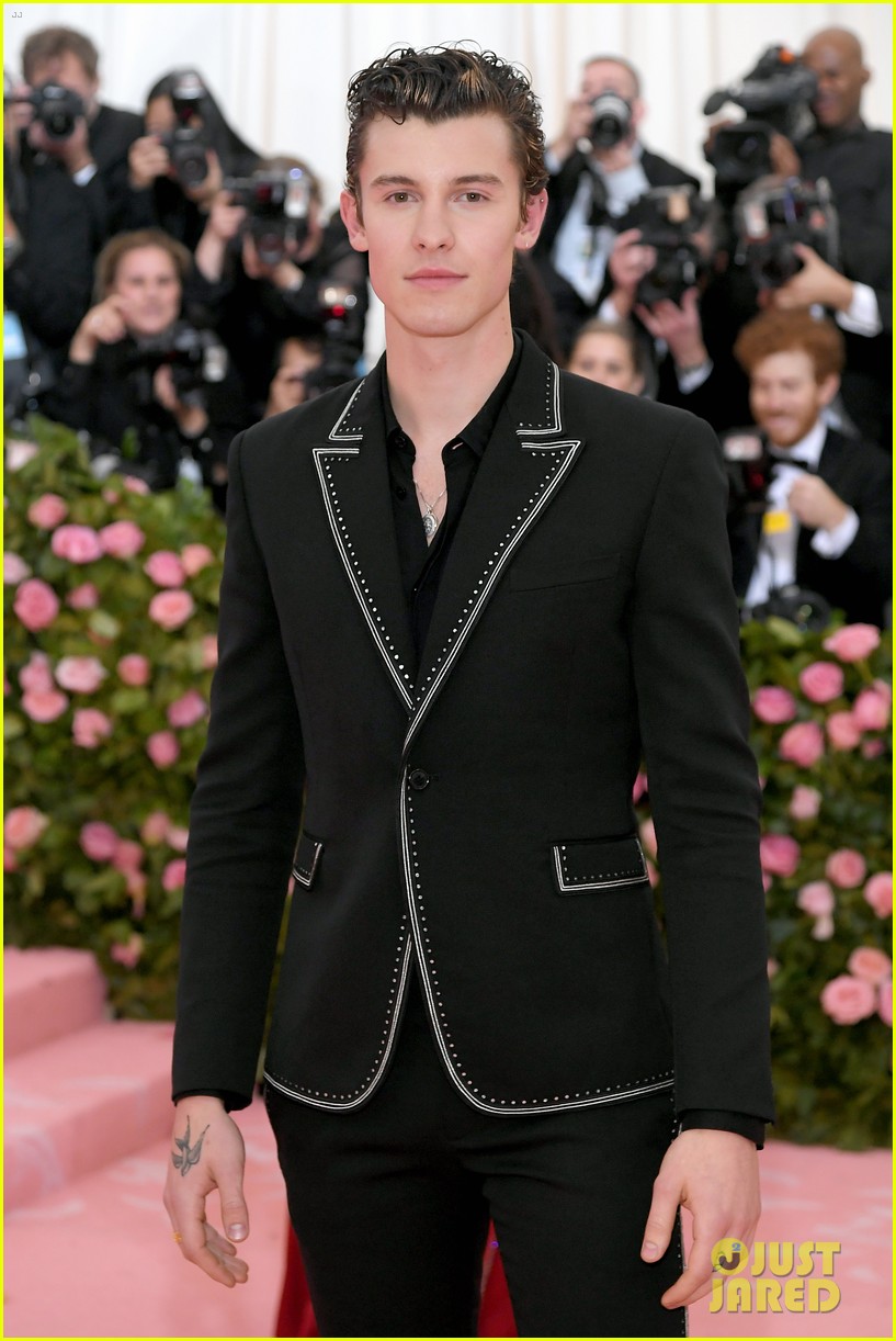 Shawn Mendes Looks So Handsome at Met Gala 2019! Photo 1233389