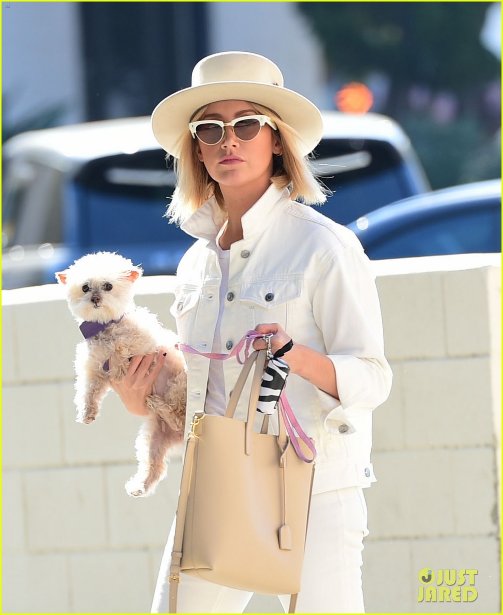 ashley tisdales beloved dog maui passes away 01