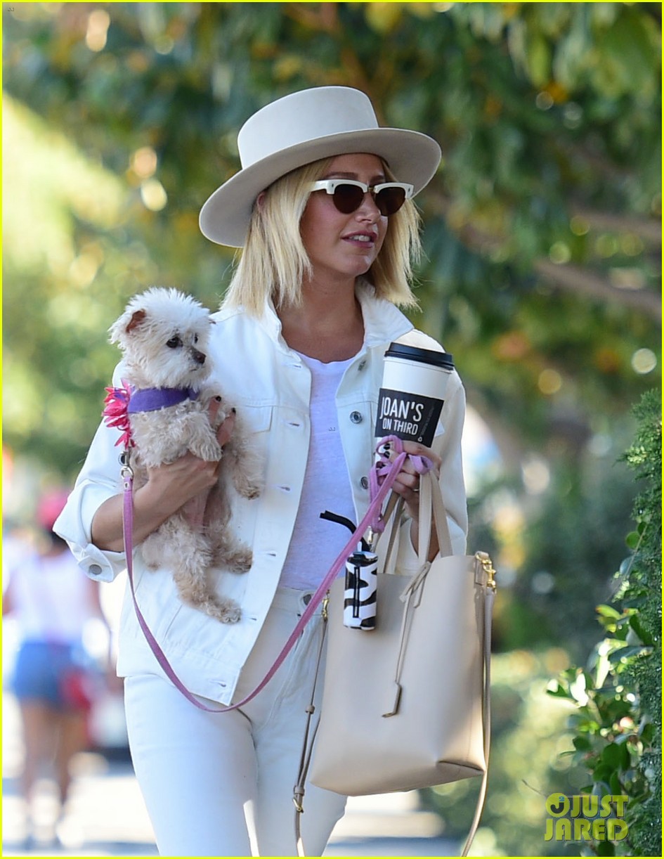 ashley tisdales beloved dog maui passes away 03