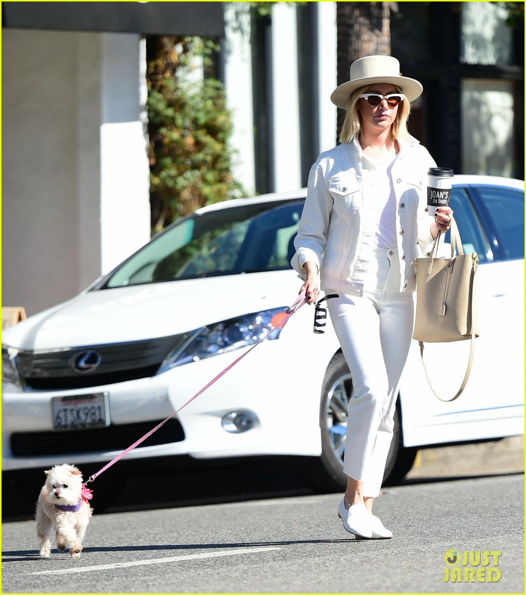 ashley tisdales beloved dog maui passes away 09