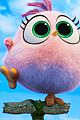 angry birds 2 hatchlings clip pics 01
