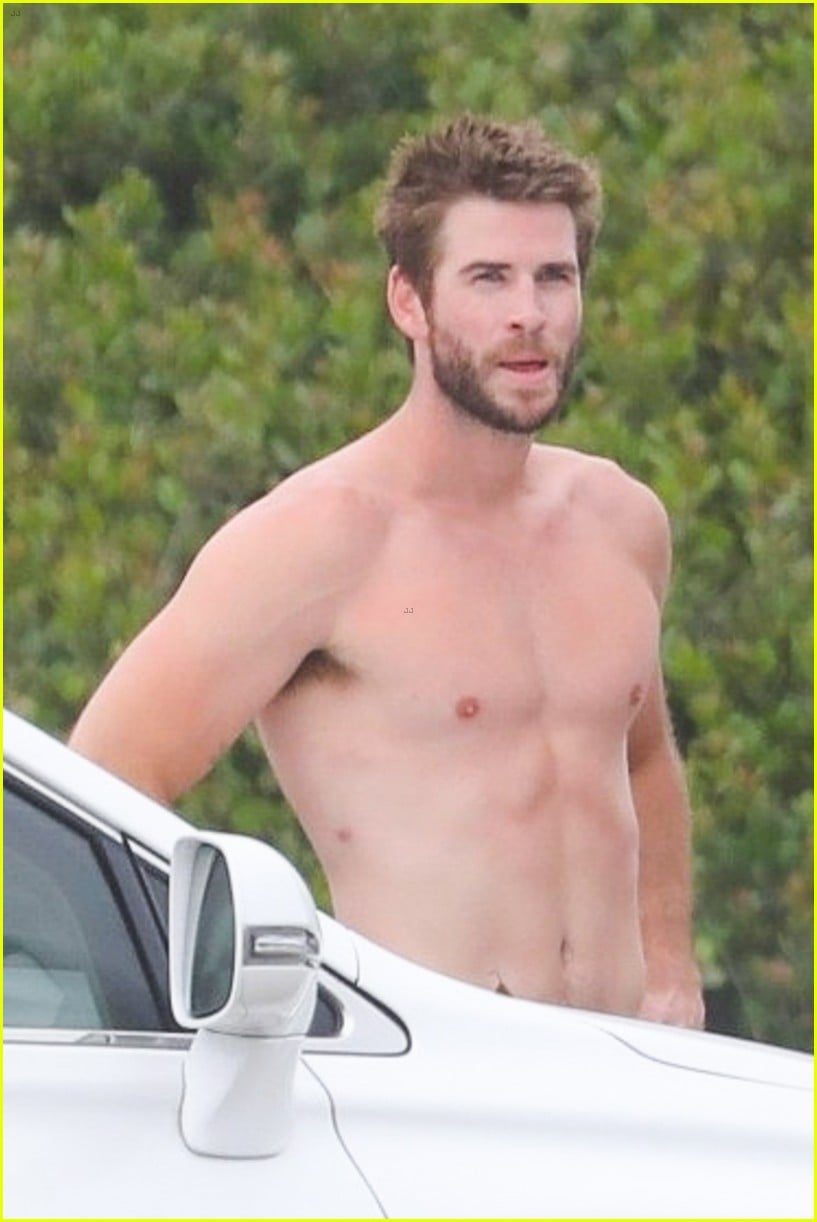 Liam Hemsworth Looks So Hot At The Beach On July 4th Photo 1246206 Liam Hemsworth Shirtless Pictures Just Jared Jr