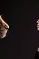 lion king pics featurette see here 03