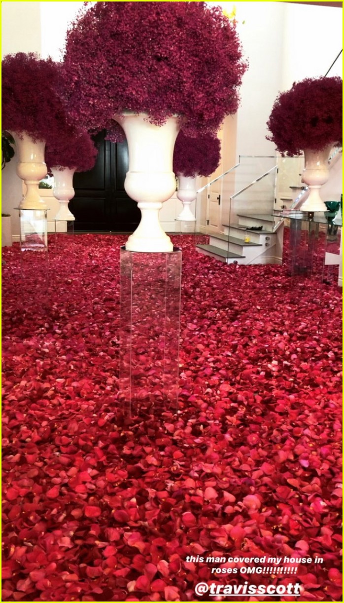Full Sized Photo of kylie jenner travis scott house covered in roses 02(02)