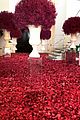 kylie jenner travis scott house covered in roses 02