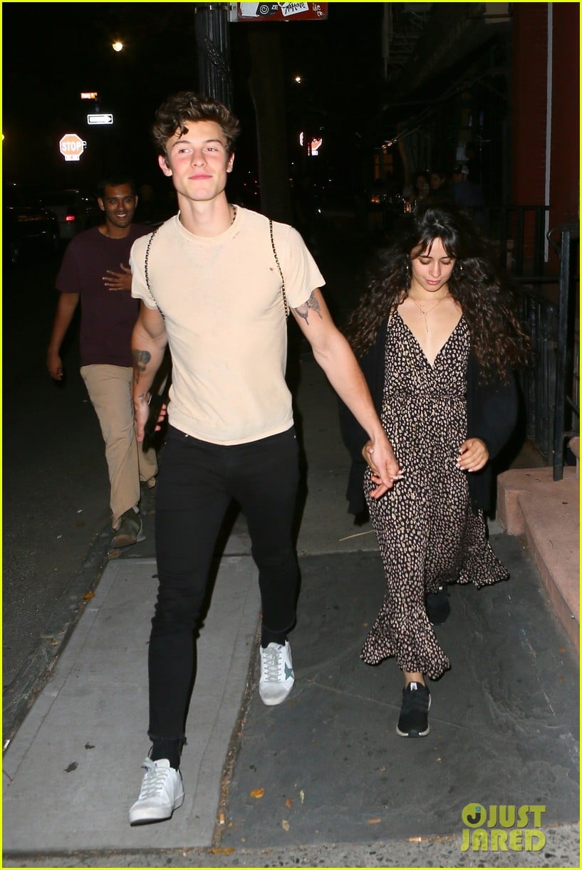 Camila Cabello Holds Hands with Shawn Mendes on Date Night! Photo