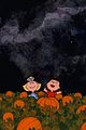 when does its the great pumpkin charlie brown air 07
