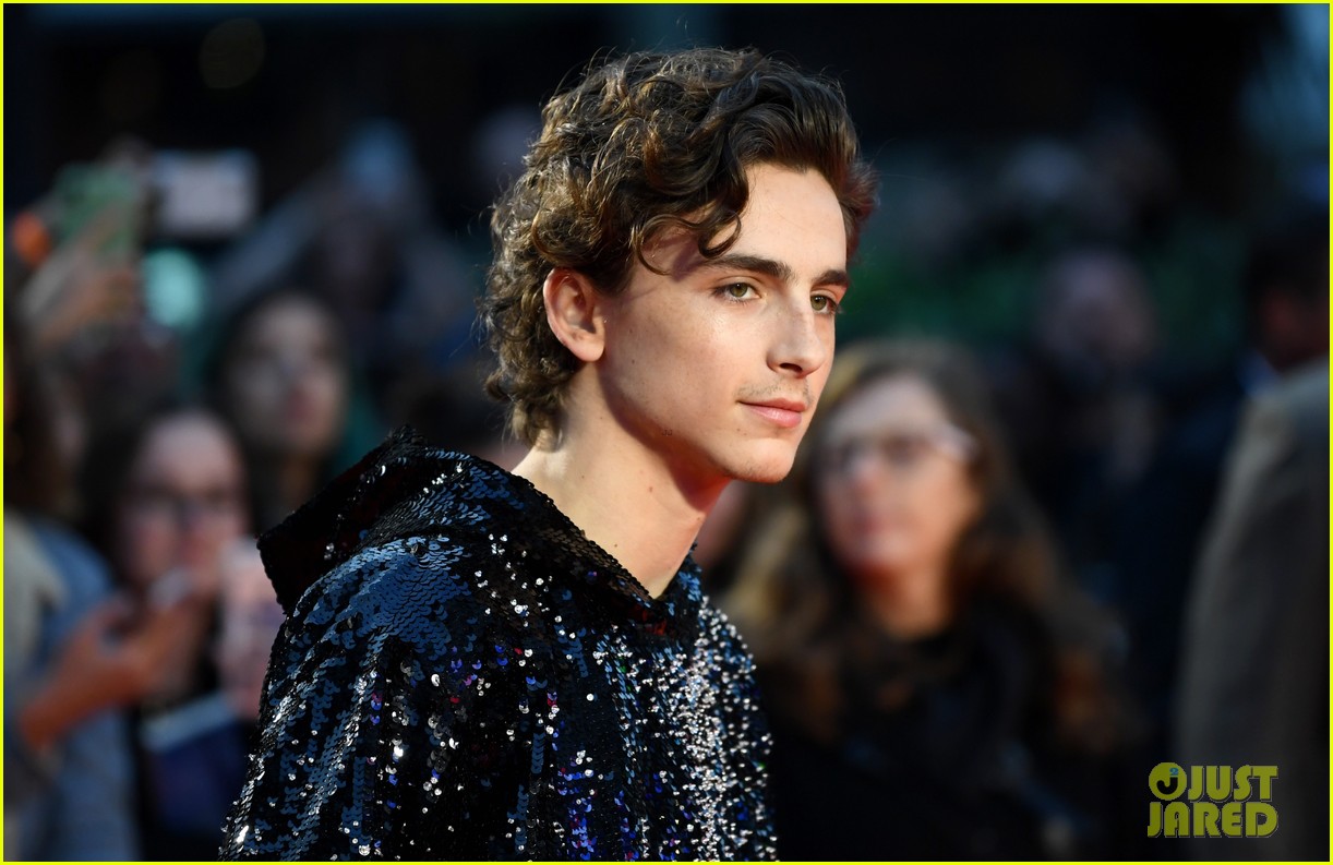 Timothee Chalamet's Sweater Sparkles On The Red Carpet For 'The King ...