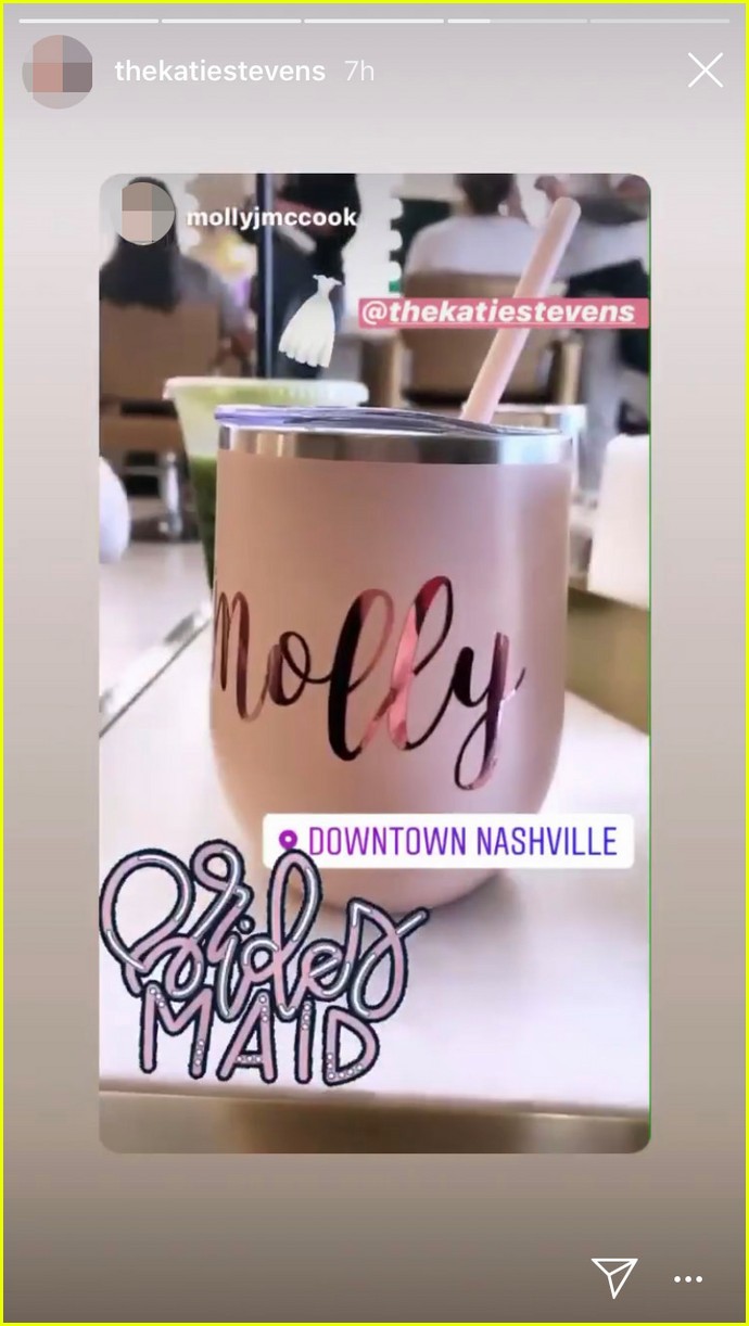 katie stevens marries paul digiovanni in tennessee wedding 04