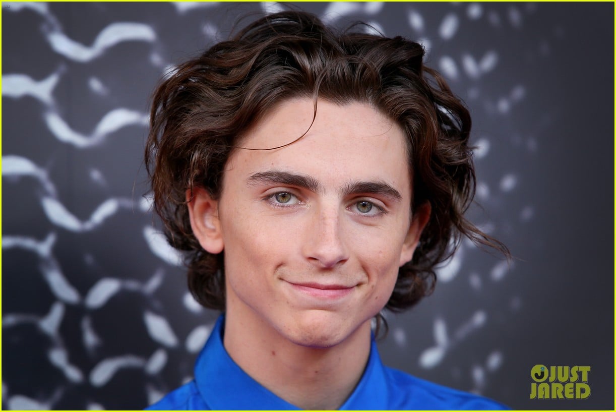 Timothee Chalamet Wears Bright Blue For 'The King' Premiere in ...