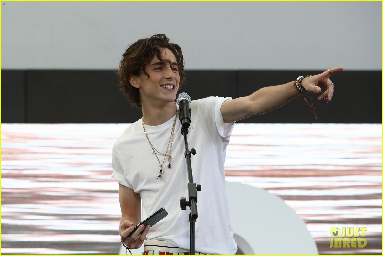 timothee chalamet striped shirt