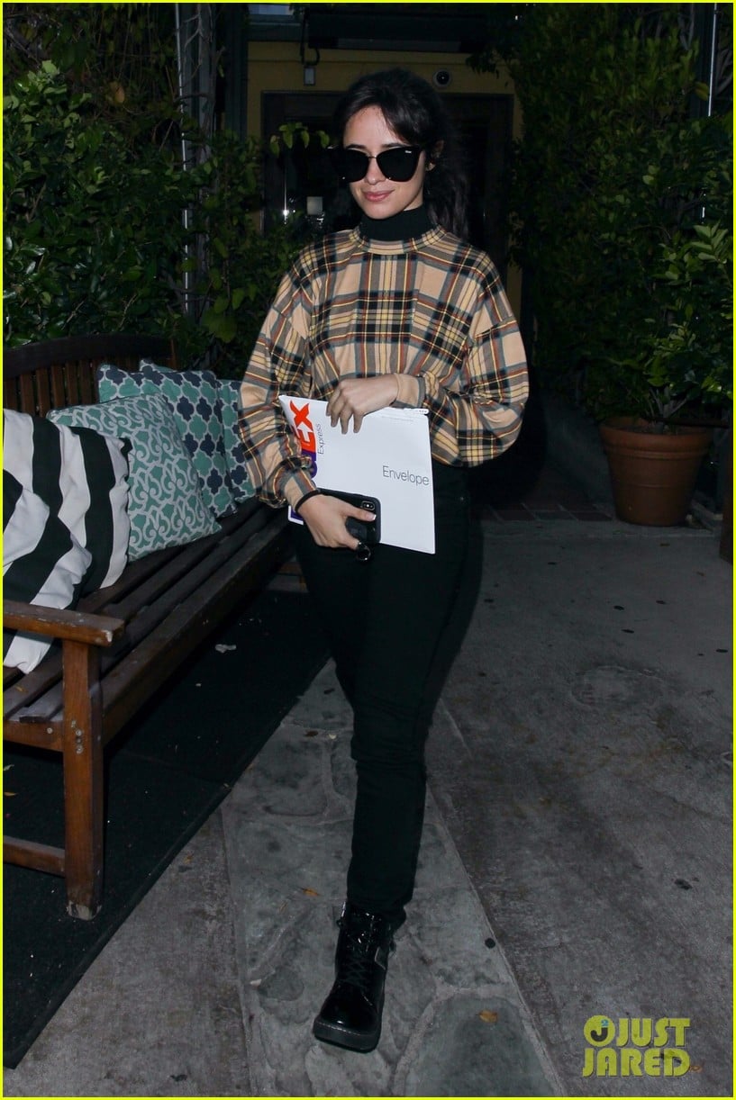 Camila Cabello FaceTimes Her Boyfriend Shawn Mendes! | Photo 1271120