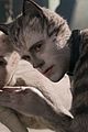 cats trailer 02