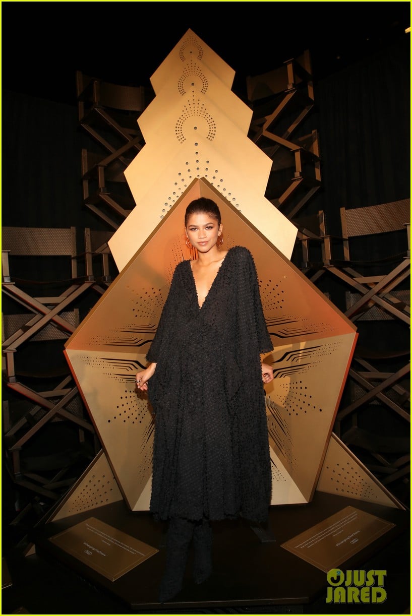 Zendaya Looks So Stunning at 'Queen & Slim' Premiere! | Photo 1272925