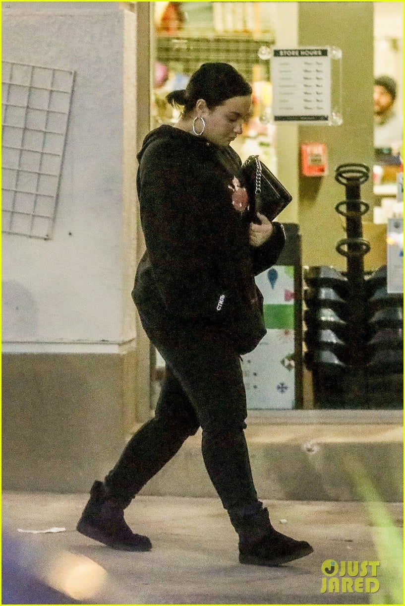 Demi Lovato Shops For Christmas Wrapping Paper | Photo 1279702 - Photo ...