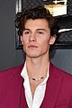shawn mendes looks incredibly suave at grammys 09