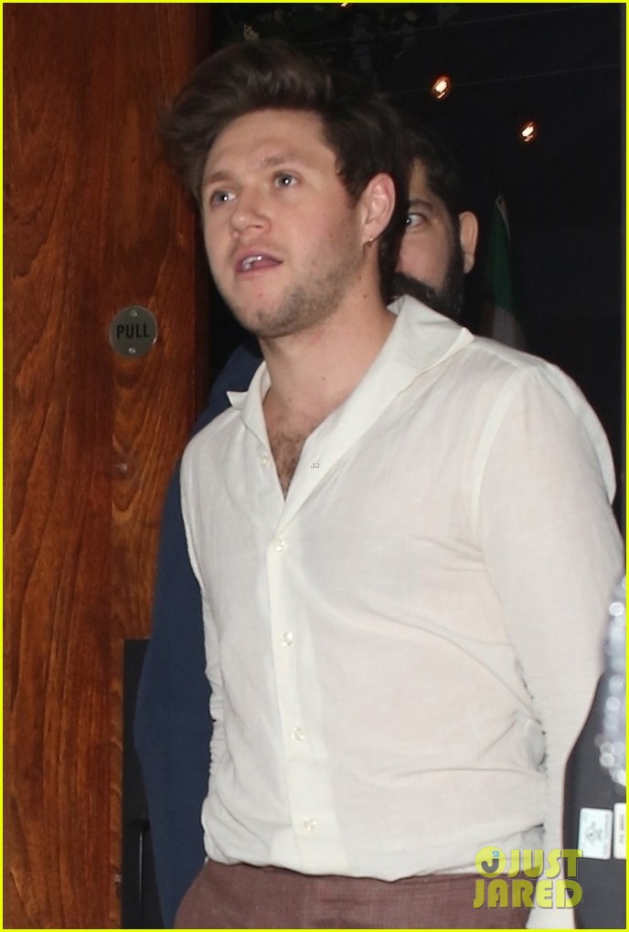 Niall Horan Arrives in Style for Grammys 2020 AfterParty! Photo