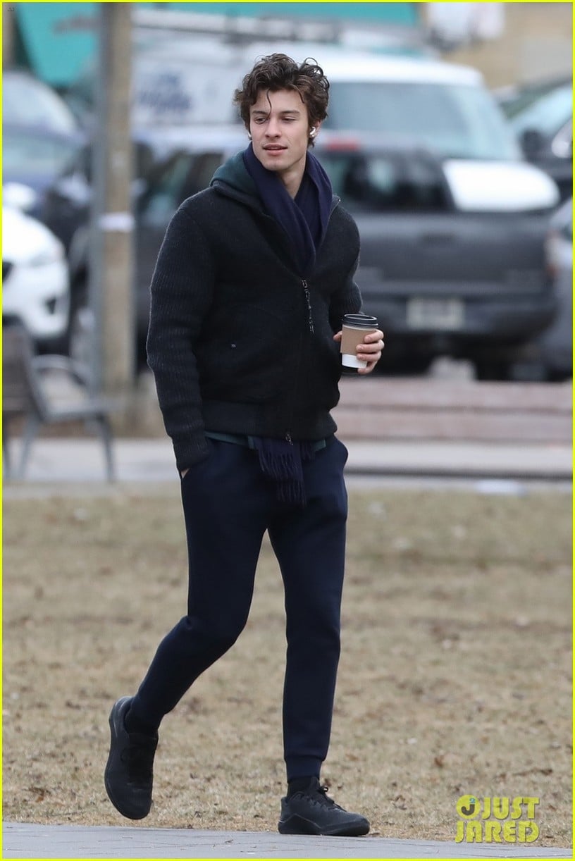 Shawn Mendes visual data 5