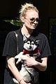 sophie turner holds dog porky in front of baby bump 02