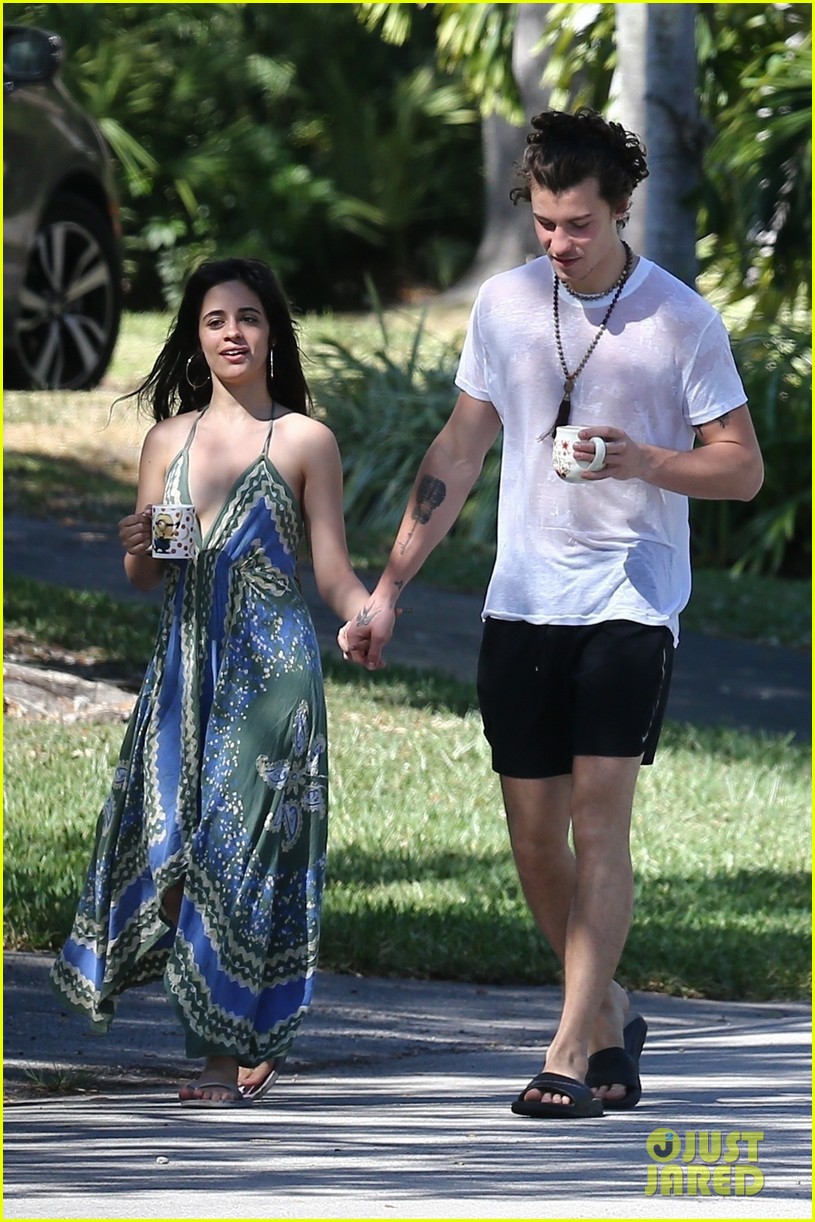 Shawn Mendes Goes Shirtless For Sunday Stroll With Camila Cabello Photo 1291980 Photo 6928