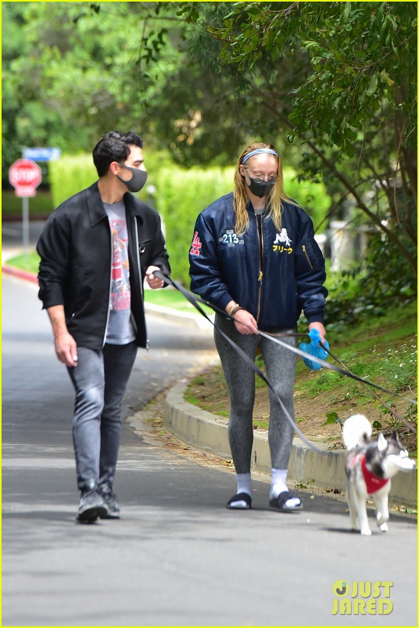 Joe Jonas & Sophie Turner Get Some Fresh Air While Walking Their Dogs:  Photo 1292684, Joe Jonas, Pregnant Celebrities, Sophie Turner Pictures