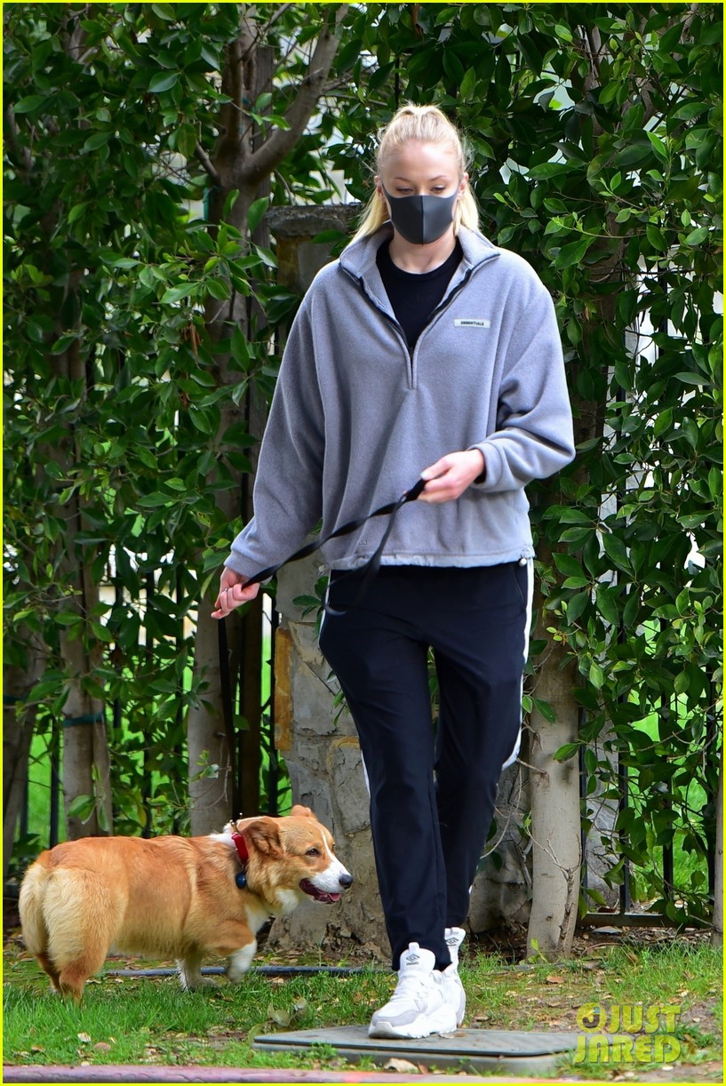 Full Sized Photo of joe jonas sophie turner monday dog walk 07 Sophie
