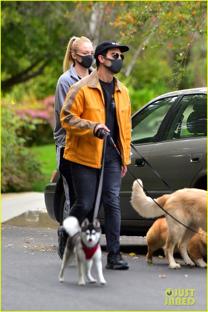 Sophie Turner & Husband Joe Jonas Walk Their Dogs While Wearing