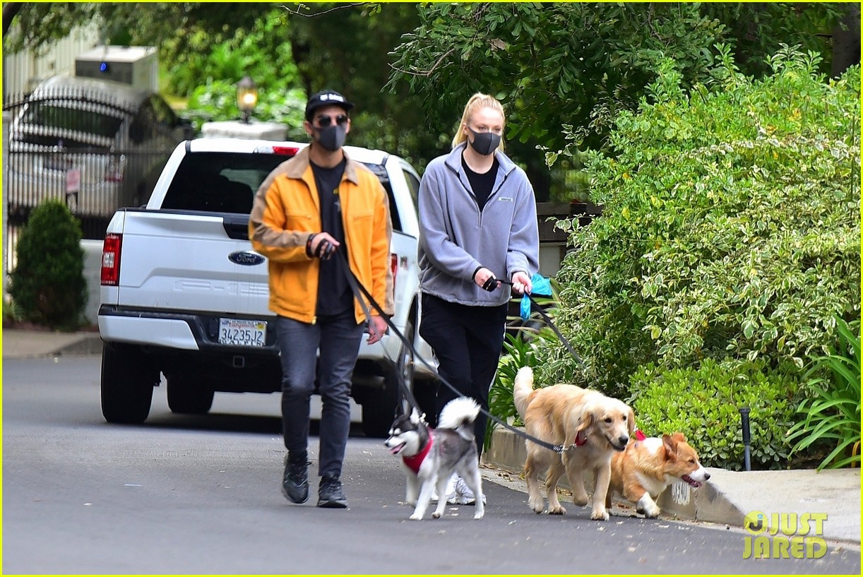 Full Sized Photo of joe jonas sophie turner monday dog walk 32 Sophie